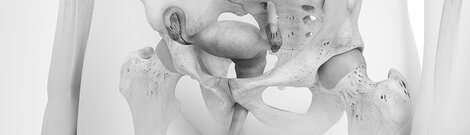 3D illustration related to gynecology, focusing on the lower abdominal and pelvic area.